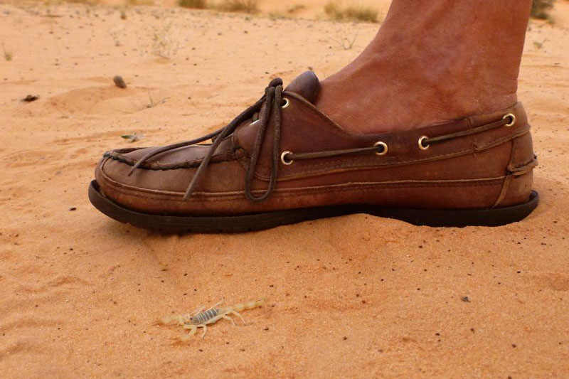 Mauritania